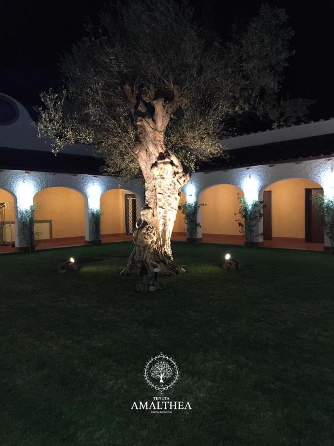 Villa Tenuta Amalthea Sessa Aurunca Exterior foto