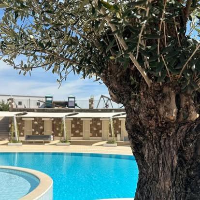 Villa Tenuta Amalthea Sessa Aurunca Exterior foto